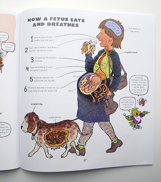 Its-Not-the-Stork-interior2