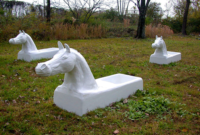 They Carry the River on Their Backs - cast iron horse tubs