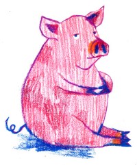 liz-starin-pig1c