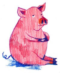 liz-starin-pig1d
