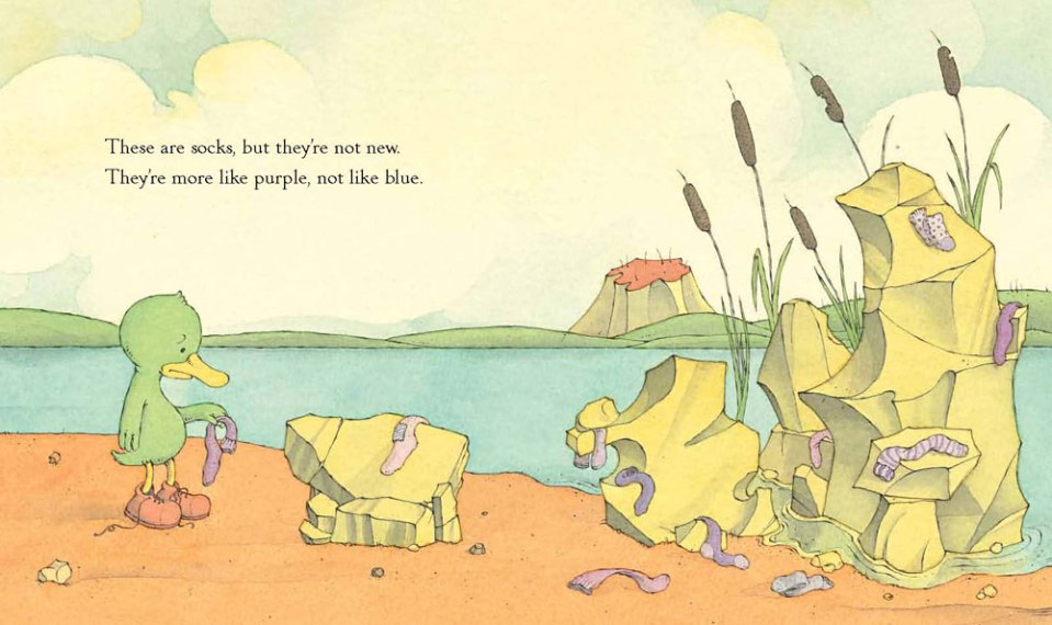 spread from Have You Seen My New Blue Socks ? Written by Eve Bunting, Illustrated by Sergio Ruzzier