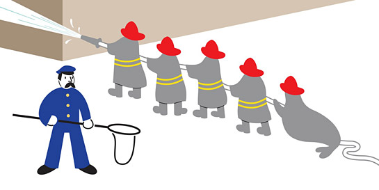 stephen-savage-wheres-walrus-1