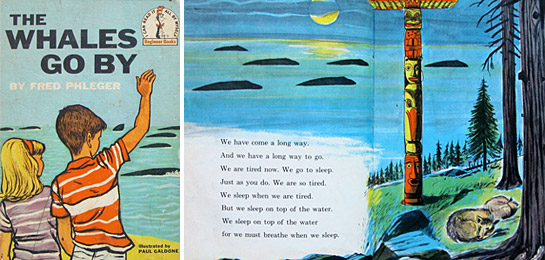 Whales Go By, By Illustrated by