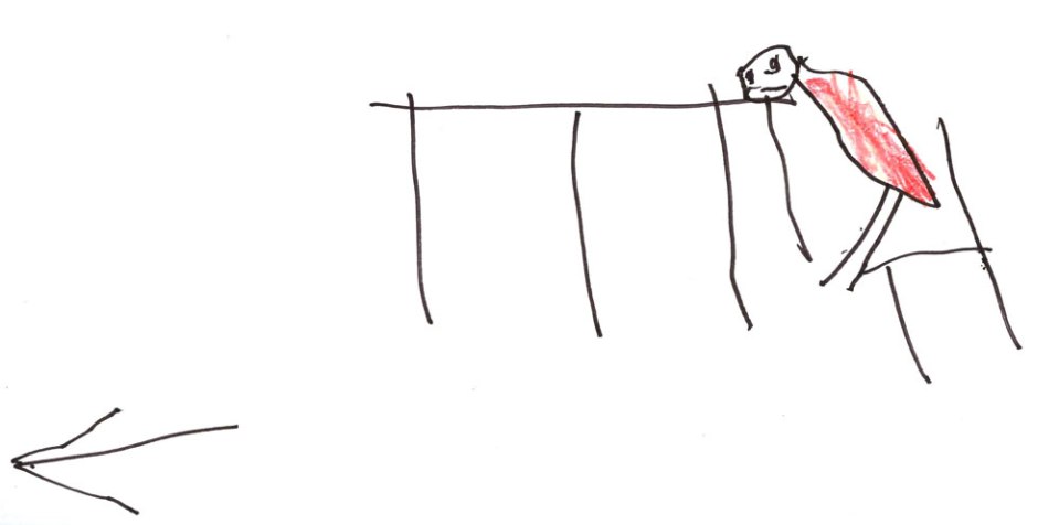 abby-hanlon-dismissal