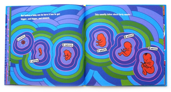 what-makes-a-baby-embryo