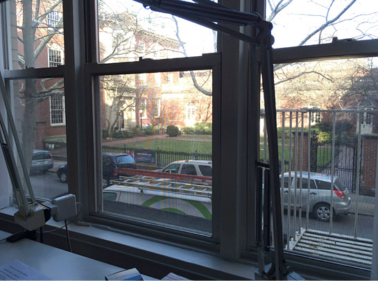 The view from Paul's desk.