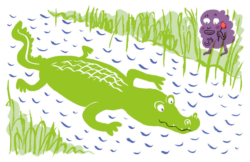 An alligator illustration from a zine that she printed on the Risograph at SVA (click to enlarge)